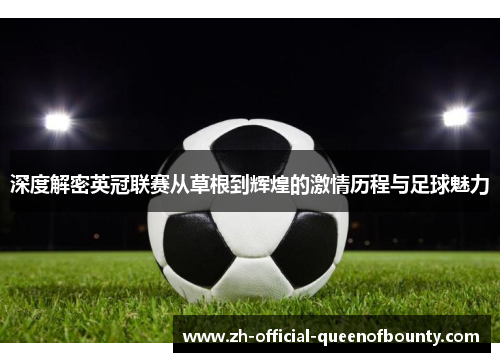 深度解密英冠联赛从草根到辉煌的激情历程与足球魅力