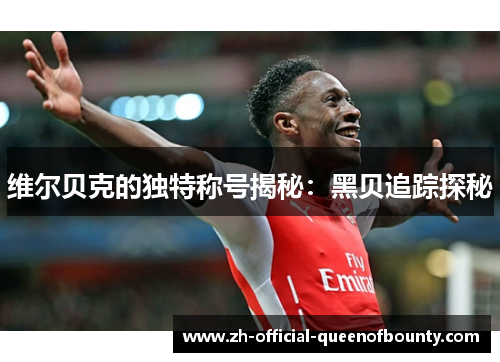 维尔贝克的独特称号揭秘:黑贝追踪探秘 维尔贝克的独特称号揭秘:黑贝追踪探秘