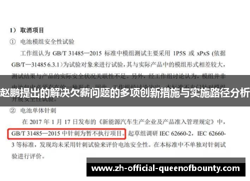 赵鹏提出的解决欠薪问题的多项创新措施与实施路径分析